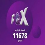 فوكس بالعربي