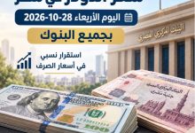 سعر الدولار في مصر اليوم الأربعاء 28 أكتوبر 2026 بجميع البنوك المصرية